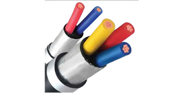 Cáp điện kế Muller DK/CXV/CVV