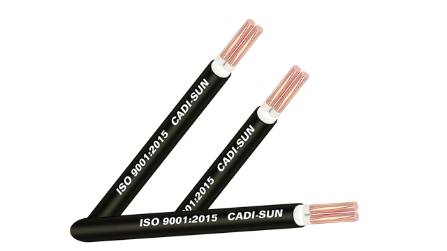 Cáp điện CXV/YJV-Cu/XLPE/PVC 2x