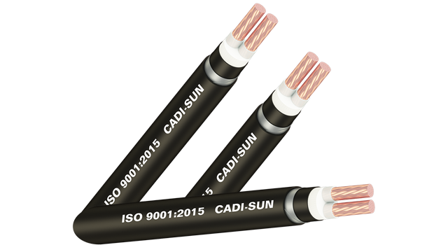 Cáp ngầm CXV/SWA-Cu/XLPE/DSTA/PVC 2x