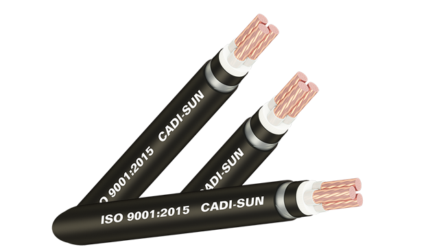 Cáp ngầm CXV/SWA-Cu/XLPE/DSTA/PVC 3x