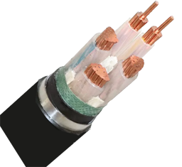Cáp ngầm CXV/SWA-Cu/XLPE/DSTA/PVC 3x+2
